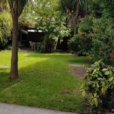 68333168 937383566598474 5596333152508313600 N